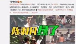 保利民宿爆料事件视频大全,揭露行业乱象背后的真相